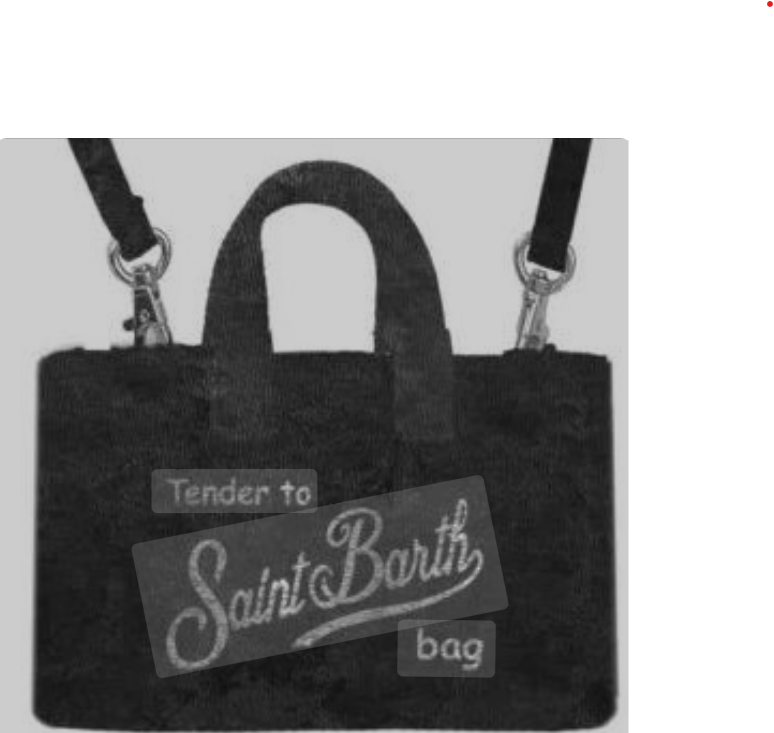 saint barth bag